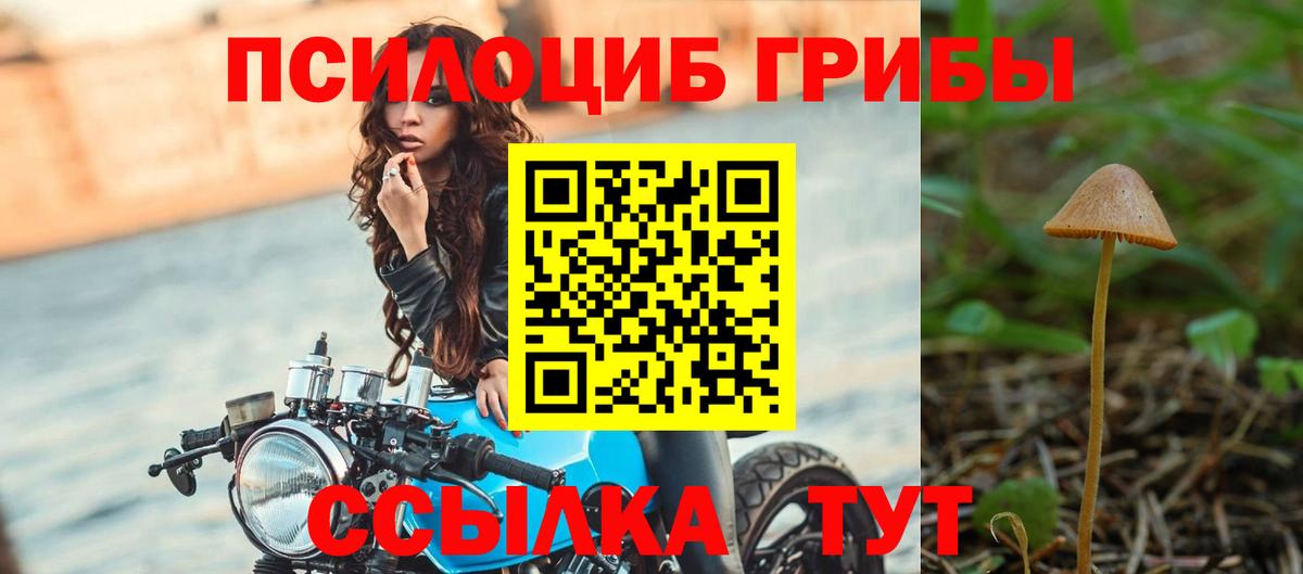 Коммунар  Галлюциногенные грибы прущие грибы  Вход с VPN 