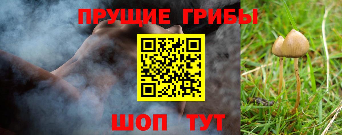 Псилоцибиновые грибы Cubensis Коммунар